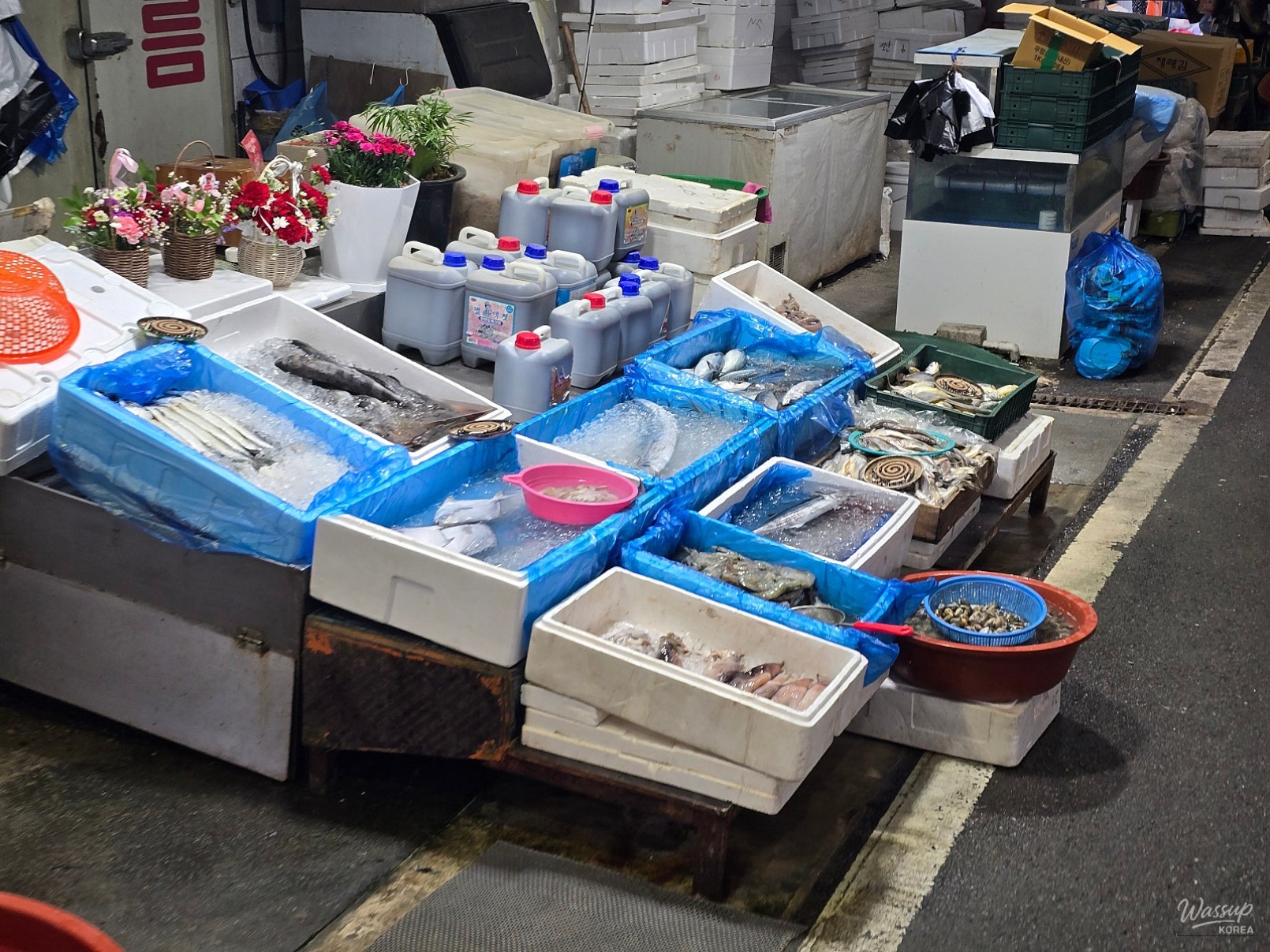Exploring the Charm of Hapdeok Traditional Market in Dangjin_07