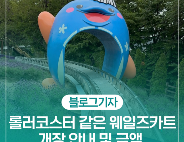 Experience the Excitement of Jangsaengpo Wales Kart float