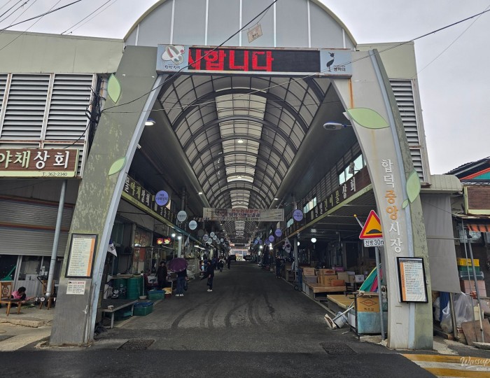 Exploring the Charm of Hapdeok Traditional Market in Dangjin float