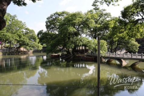 A Special May in Hamann: The Beauty of Nature and Culture_12