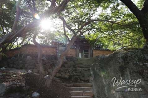 A Special May in Hamann: The Beauty of Nature and Culture_11