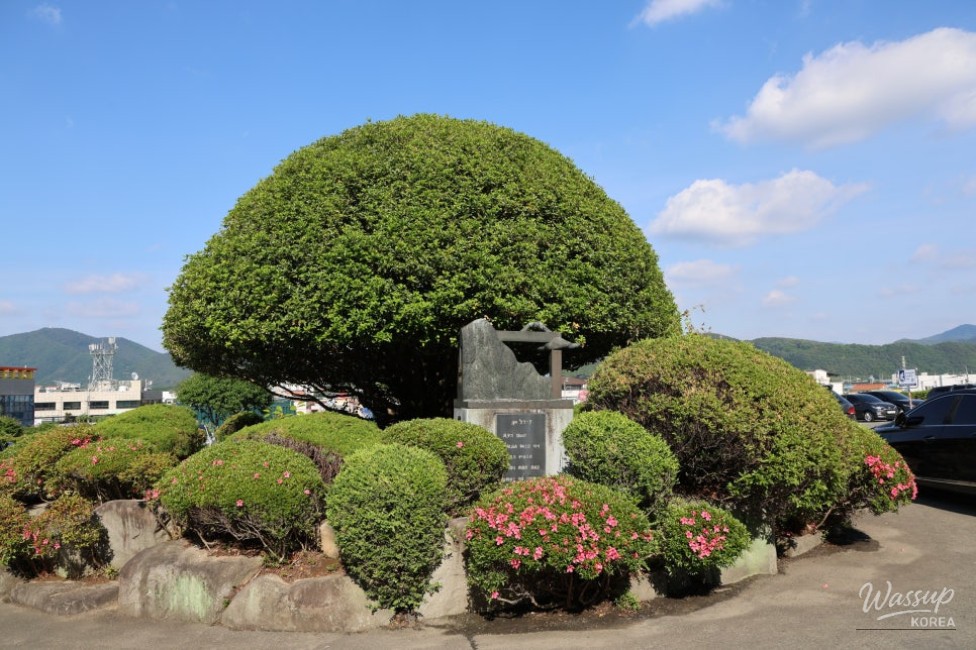 A Special May in Hamann: The Beauty of Nature and Culture_02