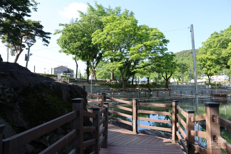 A Special May in Hamann: The Beauty of Nature and Culture_15