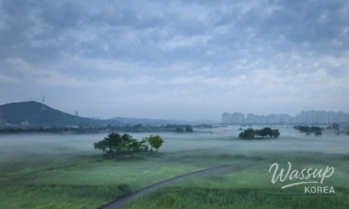 Discovering the Charm of Mukho: A Coastal Gem_09