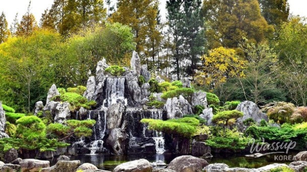 Discovering the Gyeongbuk Millennium Forest Garden: A Hidden Oasis_03