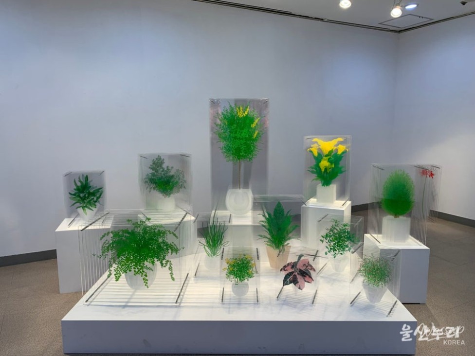 A Stroll Through Modern Art in Ulsan_07
