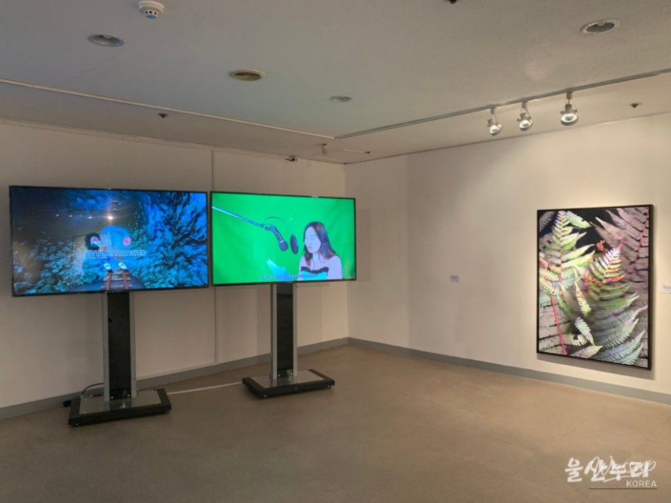 A Stroll Through Modern Art in Ulsan_08