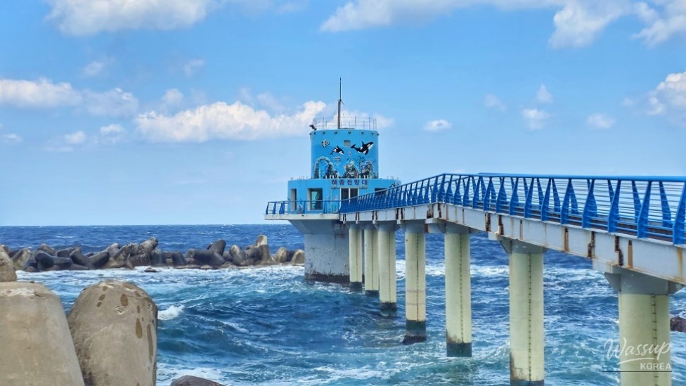 Explore the Underwater Observatory in Ulleungdo: A Perfect Family Destination_02