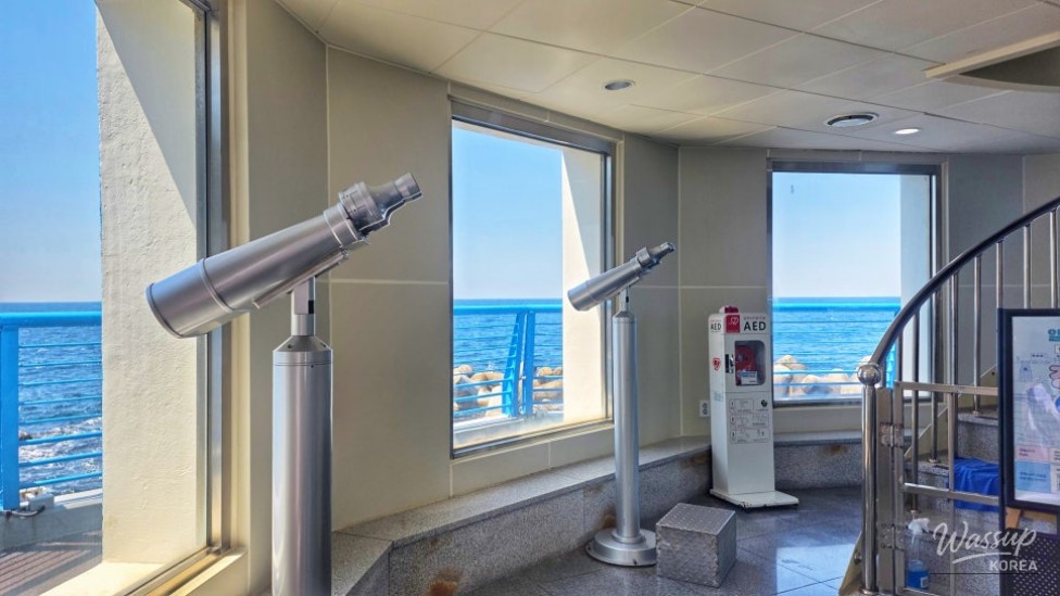 Explore the Underwater Observatory in Ulleungdo: A Perfect Family Destination_04