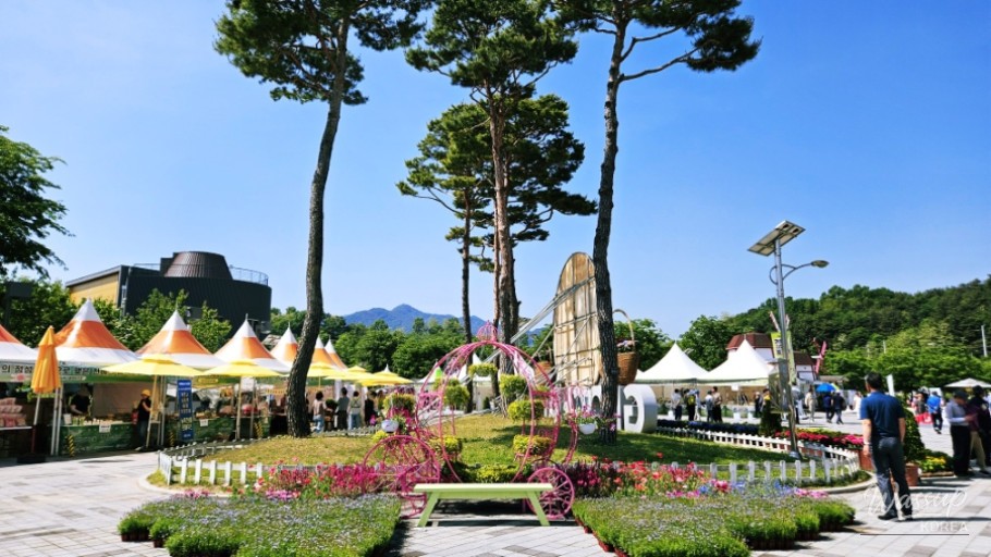Unique Silent Yoga Experience at Changpo Garden in Geochang_14