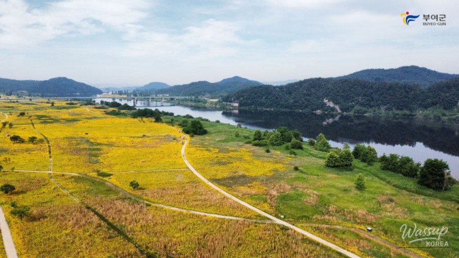 Discover the Beauty of Buyeo in Early Summer_06