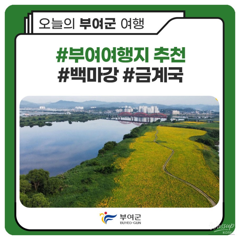 Discover the Beauty of Buyeo in Early Summer_01