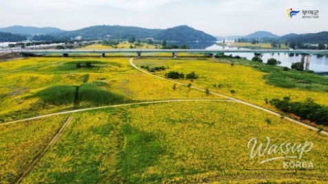 Discover the Beauty of Buyeo in Early Summer_03
