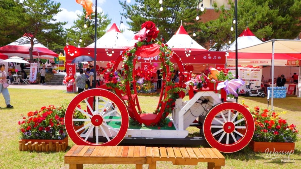 Exploring the 2026 Goesan Red Flavor Festival_04