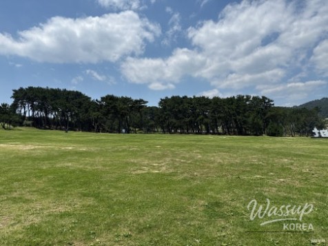 Visit Ganjeolgot: A Must-See Destination in Ulsan this June_10