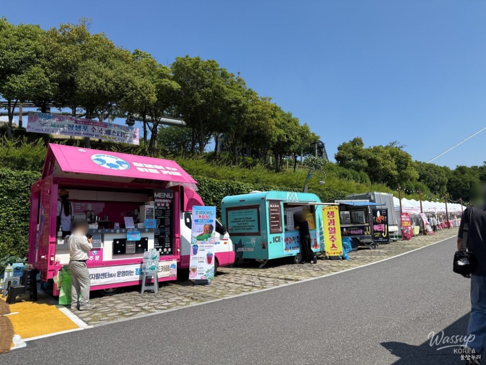 Explore the Ulsan Jangsaengpo Hydrangea Festival_02