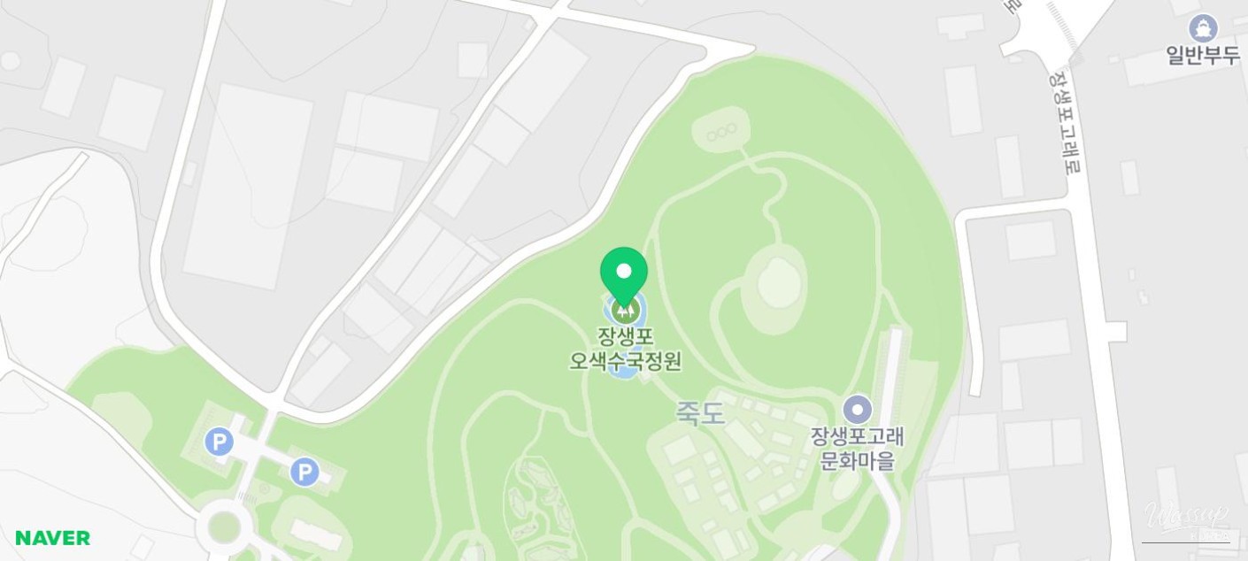 Explore the Ulsan Jangsaengpo Hydrangea Festival_12