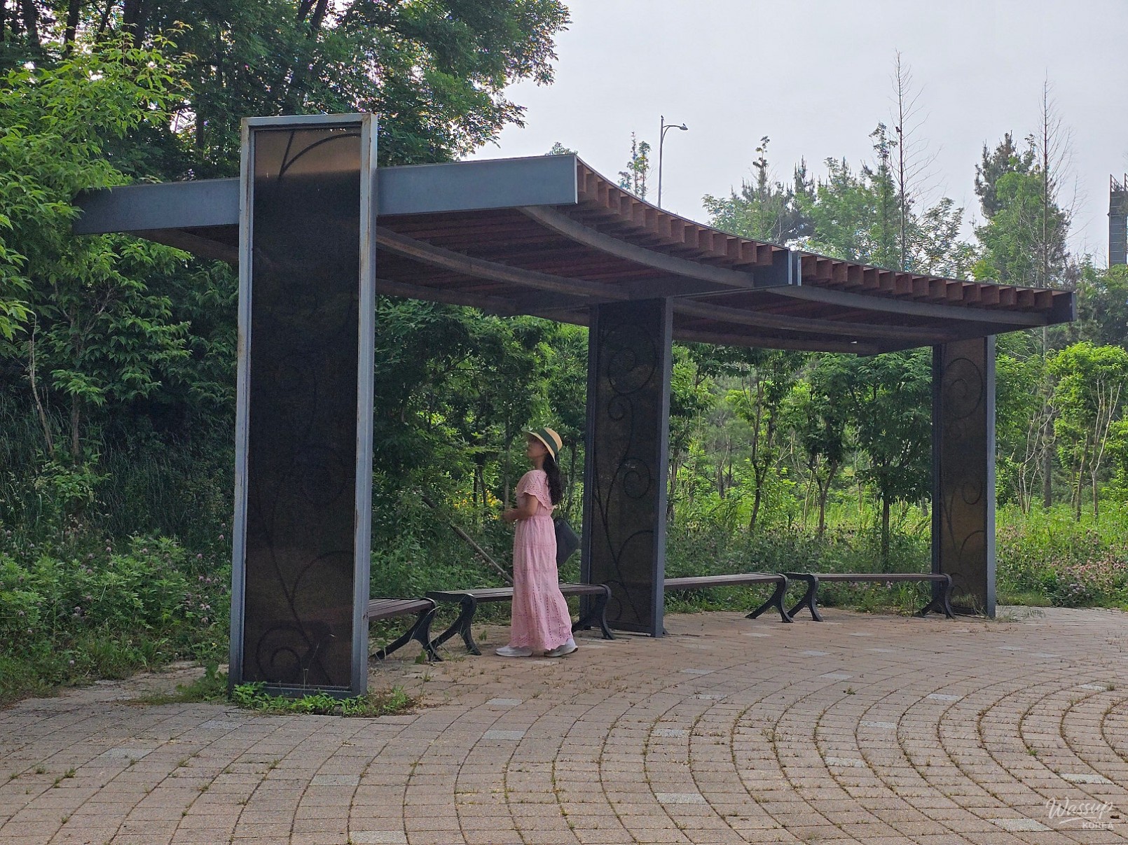 Exploring the Urban Forest of Dangjin City_11