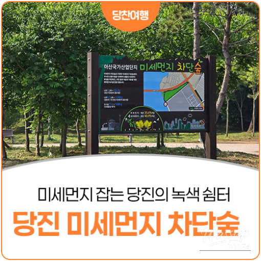 Exploring the Urban Forest of Dangjin City_15