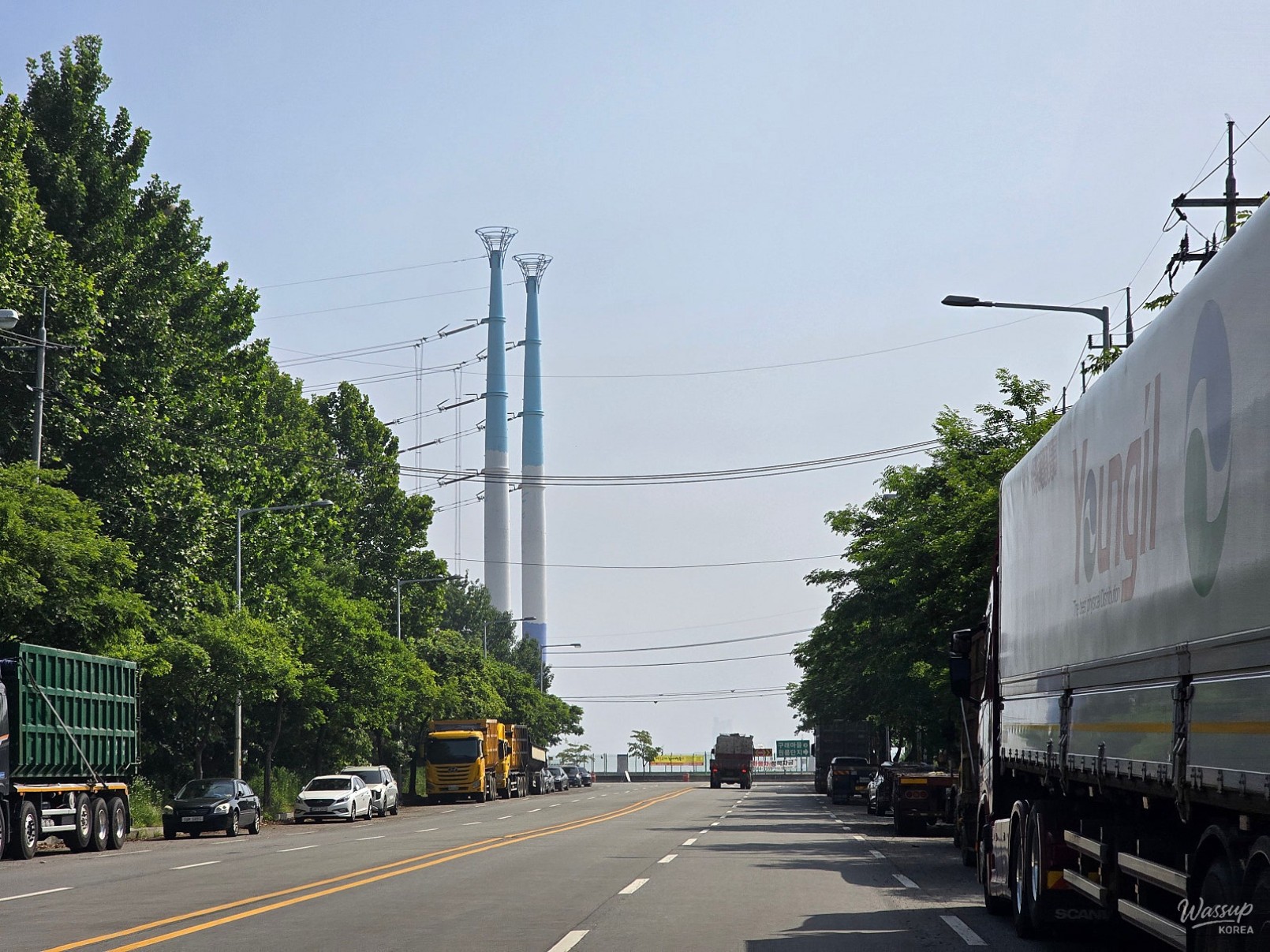 Exploring the Urban Forest of Dangjin City_08
