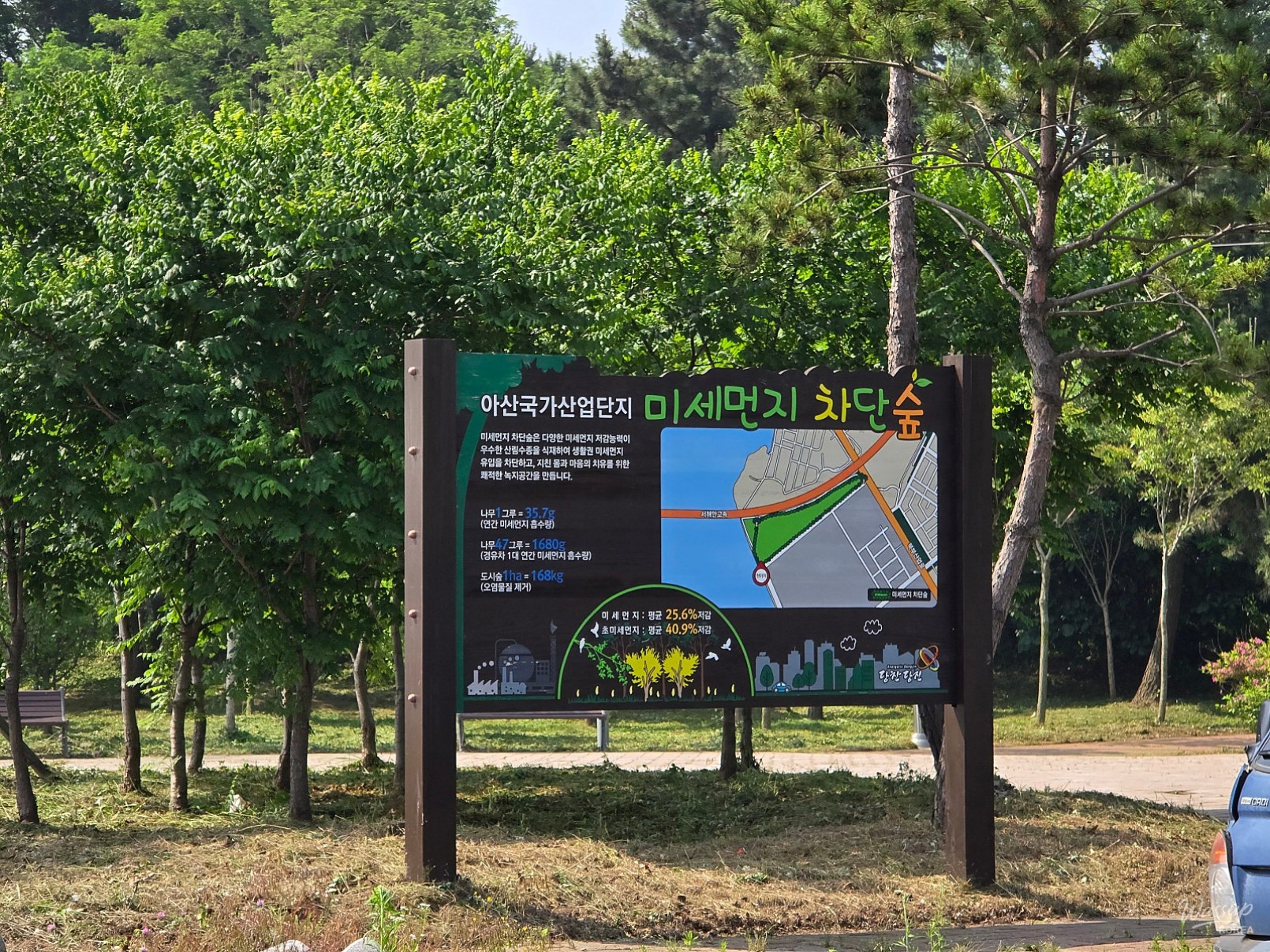 Exploring the Urban Forest of Dangjin City_01