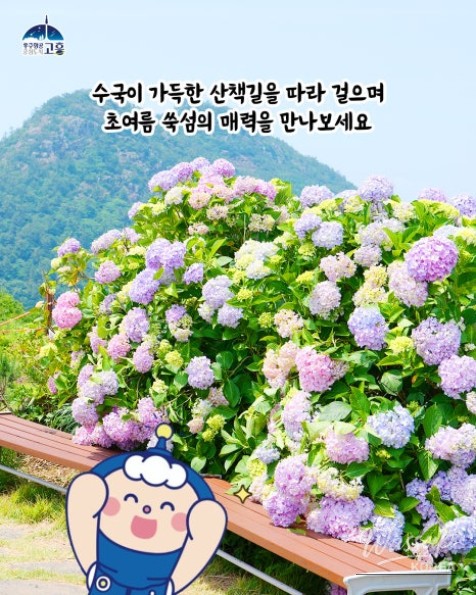 Discovering Suksom Island: A Hidden Gem in Goheung_06