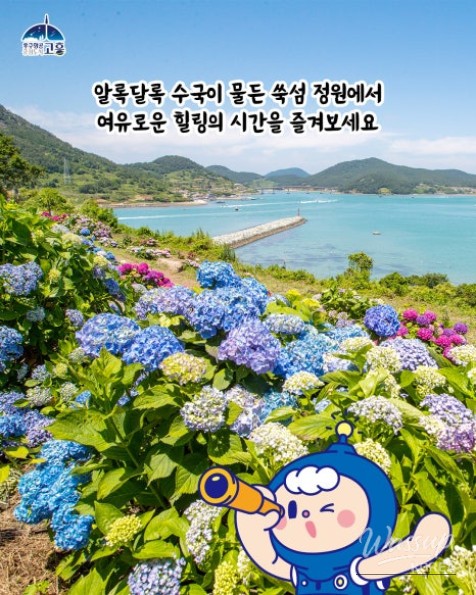 Discovering Suksom Island: A Hidden Gem in Goheung_08