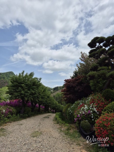 A Weekend Escape to Wanju: A Green Healing Walk_17