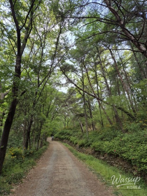 A Weekend Escape to Wanju: A Green Healing Walk_02