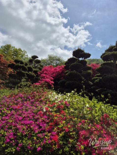 A Weekend Escape to Wanju: A Green Healing Walk_06