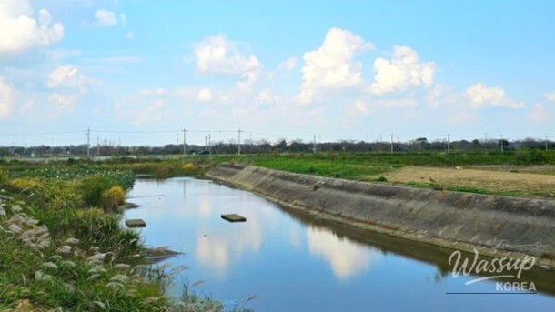 Exploring the Scenic Beauty of Byeokgolje in Jeonbuk_04
