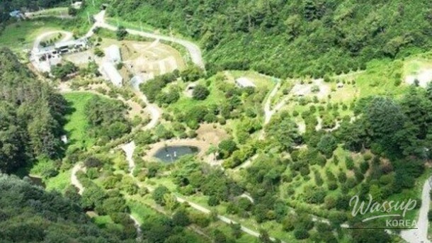 Discovering the Miwon Byeolbit Nature Recreation Forest: A New Haven for Relaxation and Work_03