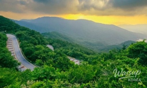 Memorable Getaways for Your Parents_07