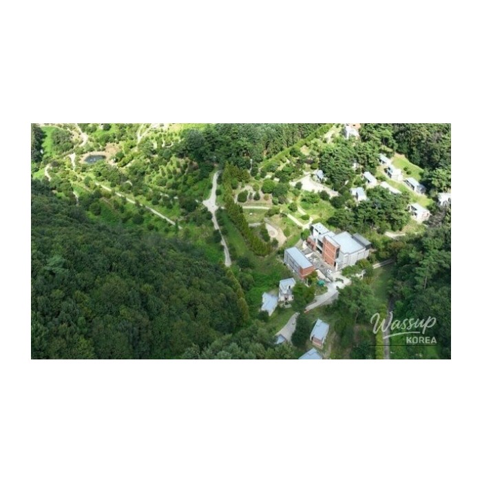 Discovering the Miwon Byeolbit Nature Recreation Forest: A New Haven for Relaxation and Work4120
