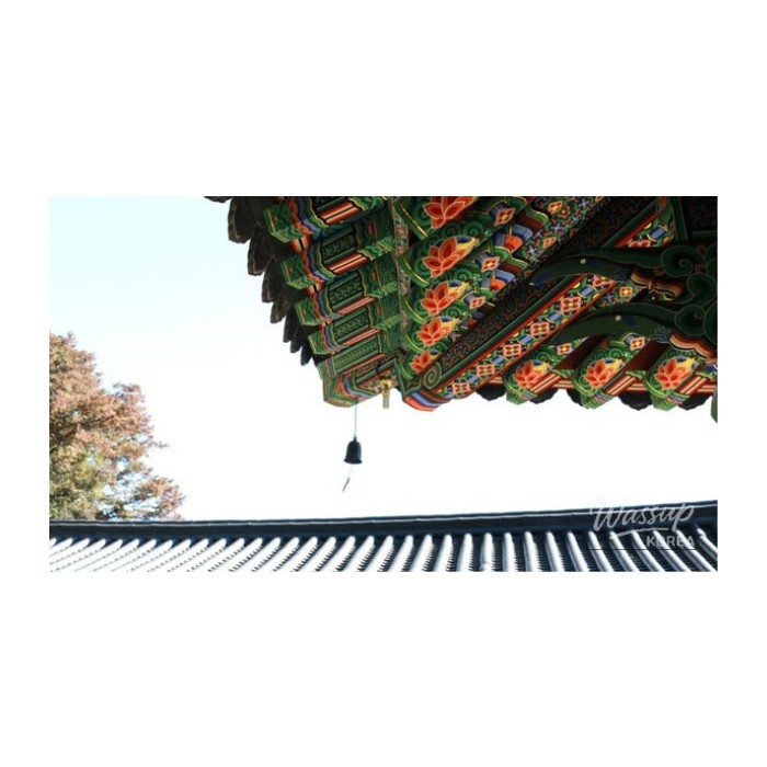 Exploring the Tranquil Beauty of Bongseonsa Temple4116