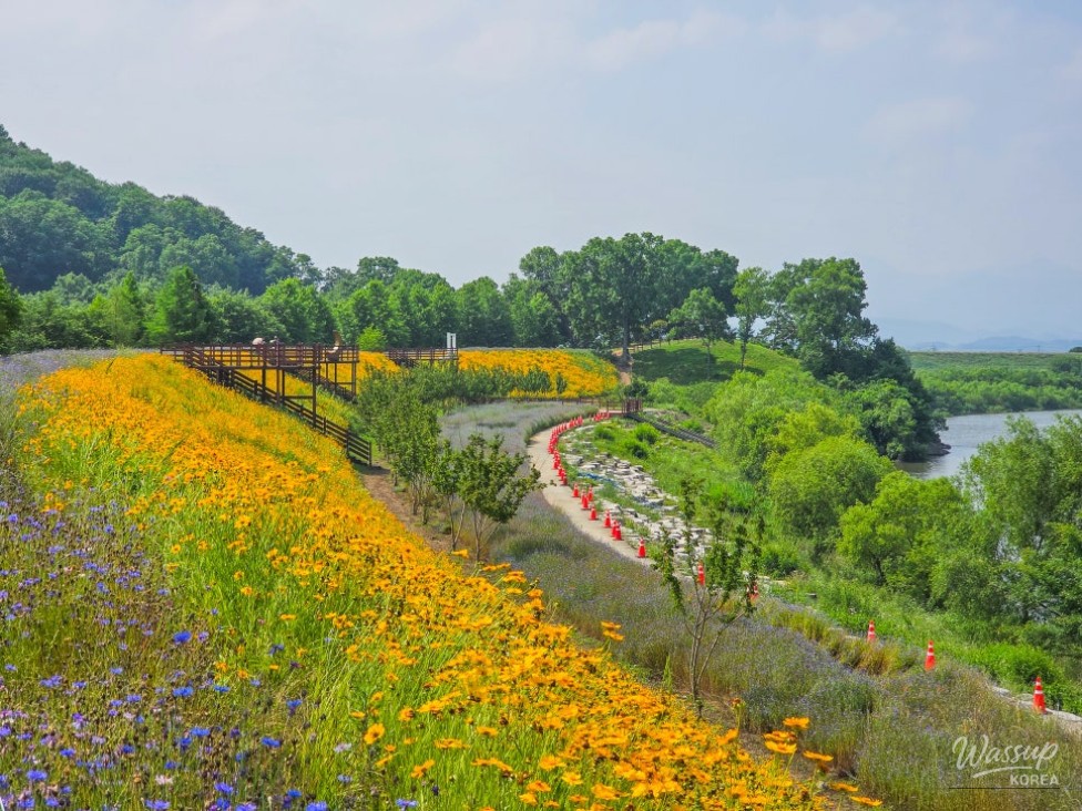 Exploring the Beauty of Akyang Ecological Park in Hamann_03