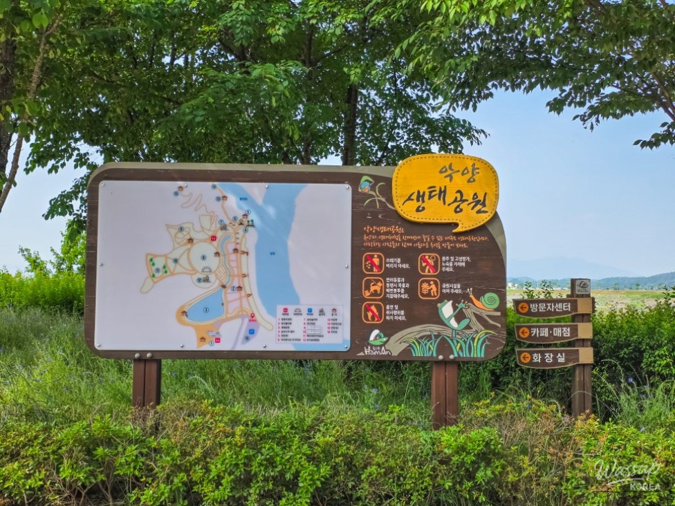 Exploring the Beauty of Akyang Ecological Park in Hamann_02