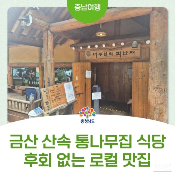 Exploring the Haven of Raccoons in Geumsan4127