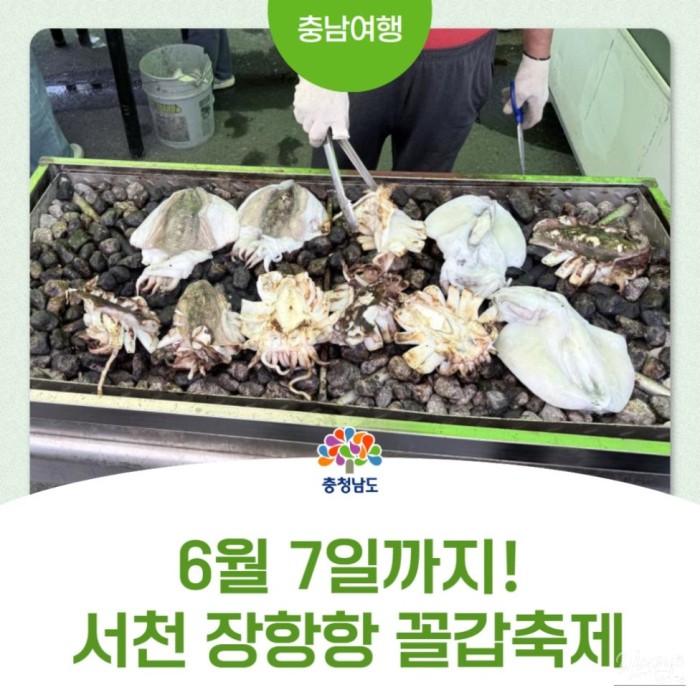 The 16th Janghang Port Seafood Festival: A Delightful Experience4132