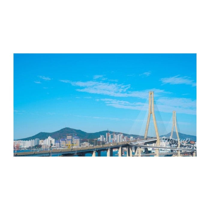 Exploring Busan: A Cinematic Journey Through the City4125