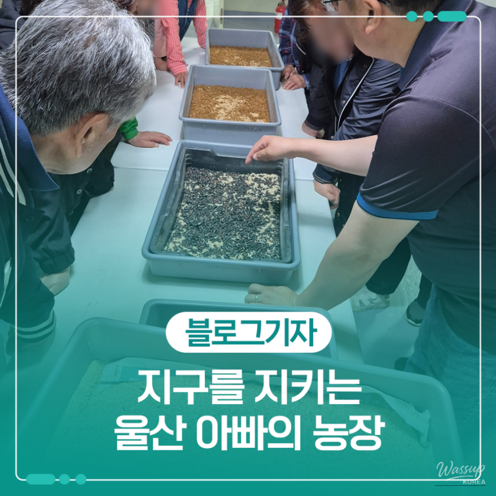 A Unique Care Farm Where Insects, Care, and Healing Meet_01