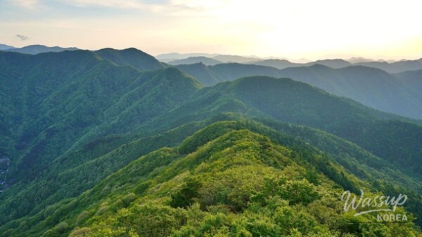 Discover the Thrills of Geumo Mountain: A Summer Adventure_01