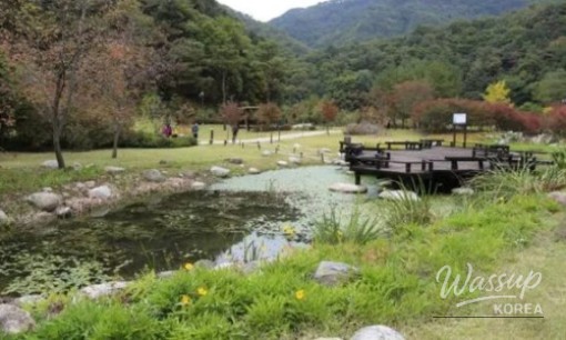 Discover the Hidden Gem of Soyado Island_06