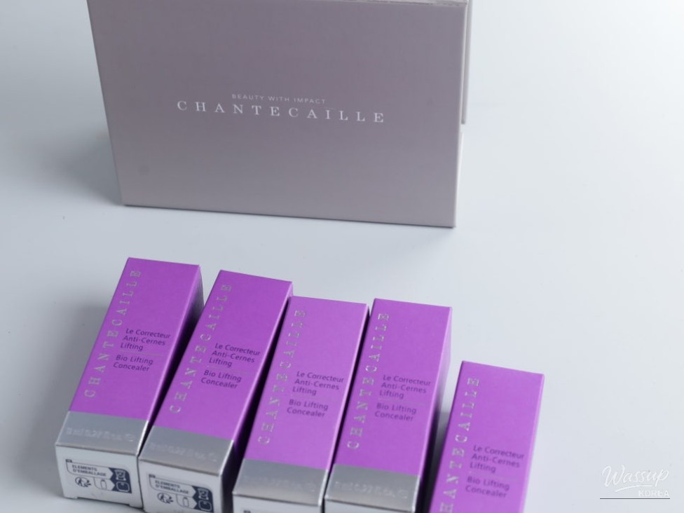 Chantecaille Bio Lifting Concealer Review_02