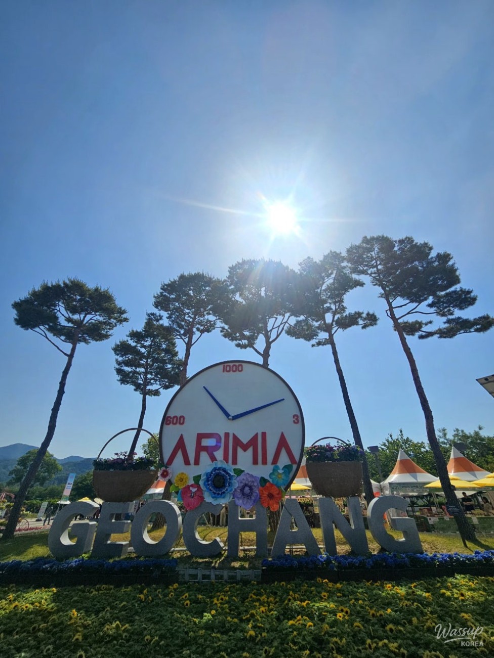 Experience the Vibrant Spring Festival in Geochang_02