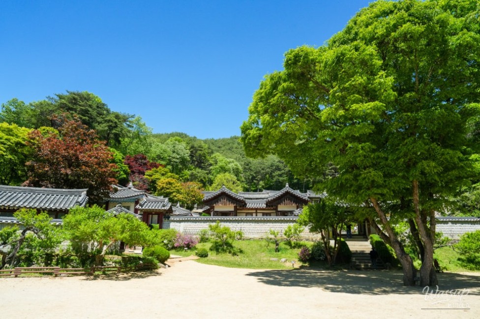 A Memorable Family Trip to Dosanseowon_01