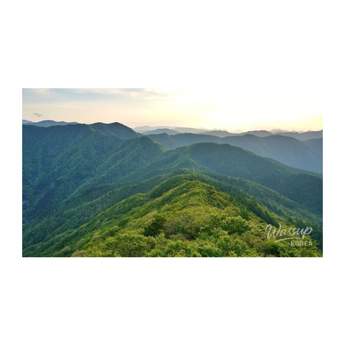 Discover the Thrills of Geumo Mountain: A Summer Adventure4140