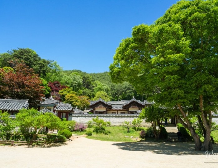 A Memorable Family Trip to Dosanseowon float