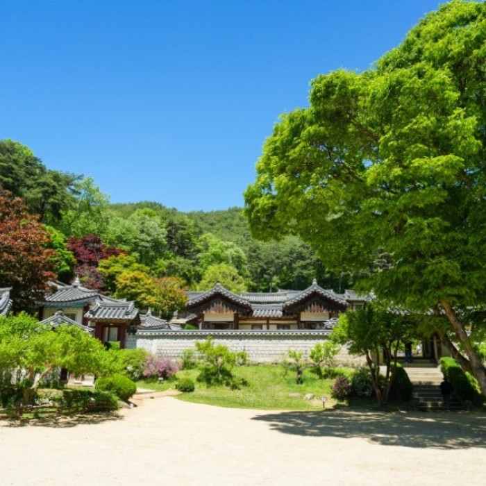 A Memorable Family Trip to Dosanseowon1967