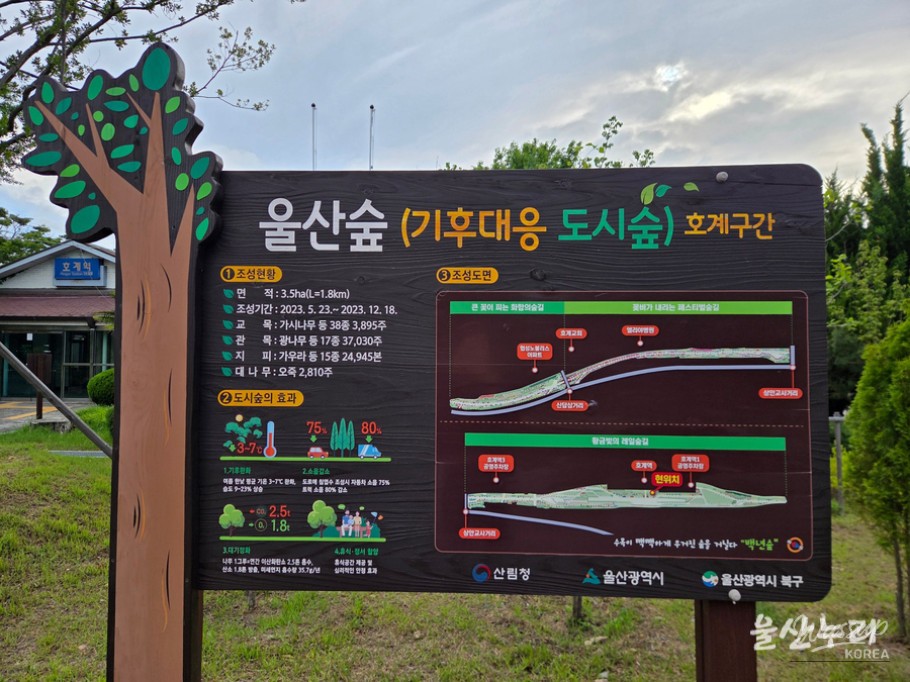 Exploring Ulsan Forest: A Natural Retreat in the City_05